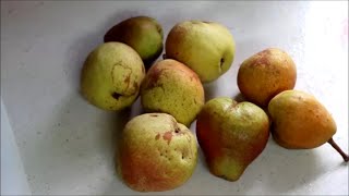 Bexar's Canning Pear Butter grown at the preppers retreat