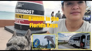 Florida Keys - Bahia Honda State Park, Dolphin Research Center, Day in Key West, Solo Female Camping