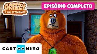 Grizzy e os Lemingues | Academia Grizzy | EPISÓDIO COMPLETO | Cartoonito