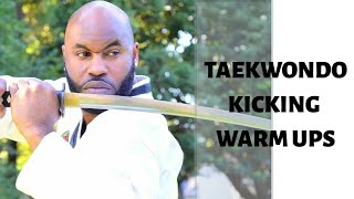 Taekwondo Kicking Drill Warm Up