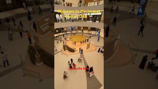 Dubai largest mall 🇦🇪🤘❤️_ United Arab Emirates #travel #travelvlog #trending #uaelife #dubailife