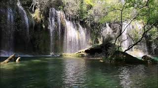 Stress Relief - Breath of a Meadow #relax #relaxing #soundofnature #muzykoterapia #stressrelief