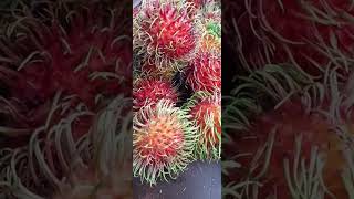 Tropical Fruit Rambutan!