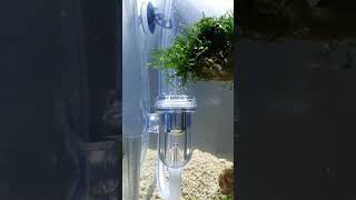 Aquili Co² Small System - Super slow motion