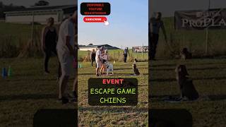 😀 Escape Game Canin : Défis Épiques avec Nos Chiens pour Ouvrir le Cadenas ! 🐾⏱️