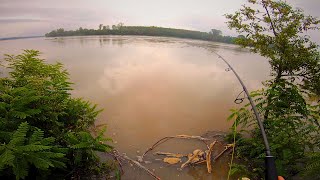 Perfect Catfish Conditions - But I FAILED to Catch One