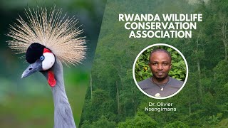 Protecting the Beautiful Cranes in Rwanda | Wildlife Conservation Expo 2022