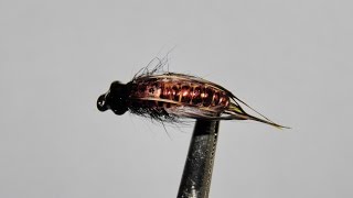 ,,CADDIS PUPA,,A budget option, SVA