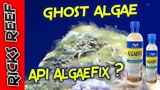 HOW TO: Setup a Marineland 27 cube Reef Tank GHOST ALGAE API ALGAEFIX