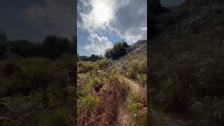 What a landscape, the crunch of the ferns 😍