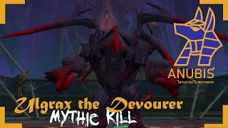 [Mythic] Nerub-ar-Palace - Ulgrax the Devourer (Holy Paladin)