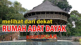 Rumah Adat Suku Dayak || di Perbatasan Indonesia dan Malaysia