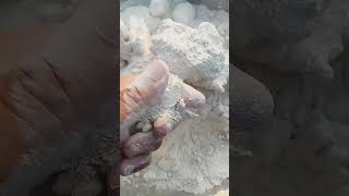 #foryou#oddlysatisfying#asmr#asmrvideo#sound#chalk#marble#gypsum#soft#crush#crunchy#shorts#dry