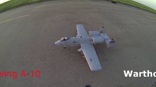 Freewing A 10 Thunderbolt Maiden