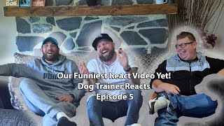 Our Funniest React Video Yet! - Dog Trainer Reacts - Episode 5