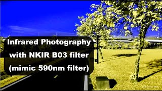 Infrared photography with NKIR B03 filter