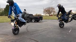 Honda Grom Stoppies at Stunt Park in St. Louis Gromfighterz