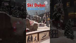 Ski Dubai  /Emirates Mall / Dubai @explorewithjustine