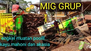 bongkar kayu di TPK MIG GRUP rajadesa!! mahoni akasia