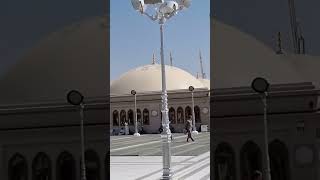 Al Masjid an Nabawi On the Top in Jummah 🤗🕌  #masjidnabawi #jummamubarak #madinah