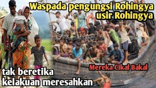 waspada pengungsi Rohingya❗tak beretika mereka Cikal bakal