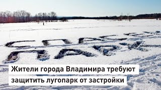 Жители города Владимира требуют защитить лугопарк от застройки