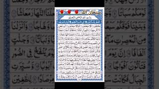 Surah Al Naba 🕋🕋🕋🌹🌹💗#quran #trendingshorts #videos #viralvideo #youtubeshorts #youtubeviral #duet