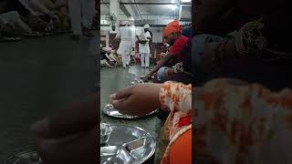 |Vlog-5|Langar|#prasad #bhojan #goldentemple #amritsar #trending #dal #khir#roti #chawal #devotional