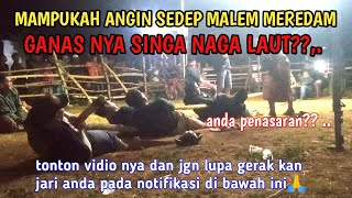 Singa naga laut 🆚 angin sedep malem spandi tarik tambang candi binangun terbaru