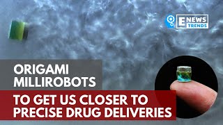 Origami Millirobots to Get Us Closer to Precise Drug Deliveries