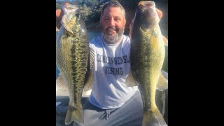 Jigging Spoons and Kastmasters Catch a Ton of Bass!!!