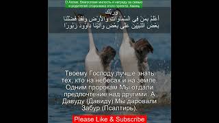 Коран Сура Аль Исра | 17:55| Чтение Корана с русским переводом | Quran Translation