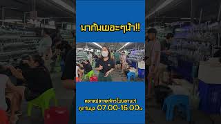 อย่าลืมมากันเยอะๆน้าทุกคน  #ตลาดปลาจตุจักร #ลานเร่  #ปลาสวยงาม #ตลาดปลาลานเร่