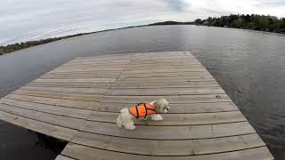 Mälaren  Idskär båt livet segling sommar