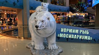 Рыбки "Москвариума". Кормим рыб с руки.