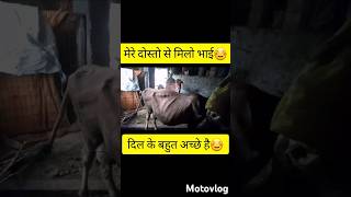 dil ke karib hai☺️||#viral #shorts