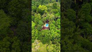 Sanctuary at Tinago Swimming Pool Drone Video Iligan Philippines #travel #droneview #nature