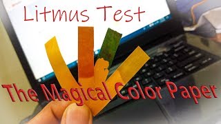 THE COLOR CHANGING PAPER!! | Litmus Test with Random Acidic and Basic Solutions