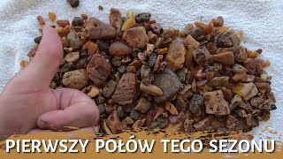 Pierwszy połów tego sezonu - zbieranie bursztynu - poszukiwania bursztynu - poławianie bursztynu