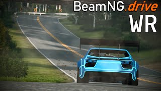 Hirochi Raceway Former WR + Fastest Clean Laps On All Tracks! - BeamNG.drive 0.21