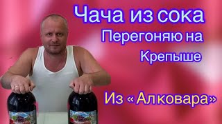 Чача из виноградного сока. Перегоняю на дистилляторе "Крепыш" из магазина "АЛКОВАР".