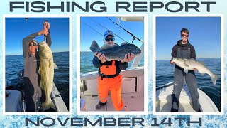 New Jersey Fishing Report November 14th #fishingreport #fishing #stripedbassfishing #stripedbass