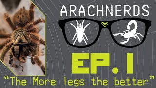 The More Legs The Better | ArachNerds Ep . 1