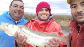 Charla con el Colo Mansilla, pescador del Peje Gigante  de la Laguna Arenera Claromeco