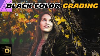 Black photography edit in yellow and black color grading - autumn