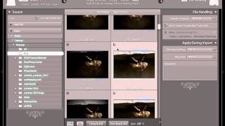 0101 Importing Photos into lightroom.mov