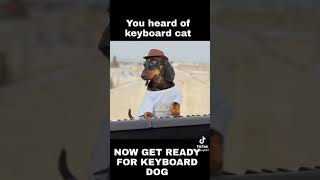 KEYBOARD DOG REAL #dog #dogs #tiktok #tiktokvideo #tiktokviral #tik #tiktokdogs #tiktokdog