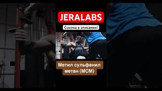 Метил сульфанил метан (МСМ)