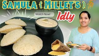 Healthy Samalu Millets Idly Recipe | Soft & Fluffy Idlis for Breakfast | Easy Millets Idli Recipe |