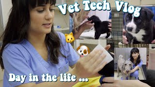 Day In The Life of a Vet Tech | Vet Tech Vlog | Veterinary Technician